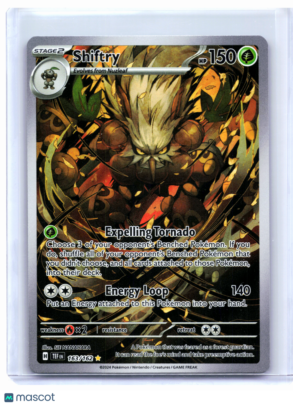 2024 Pokemon—Shiftry #163/162 Temporal Forces—Illustration Rare Holo [LP]