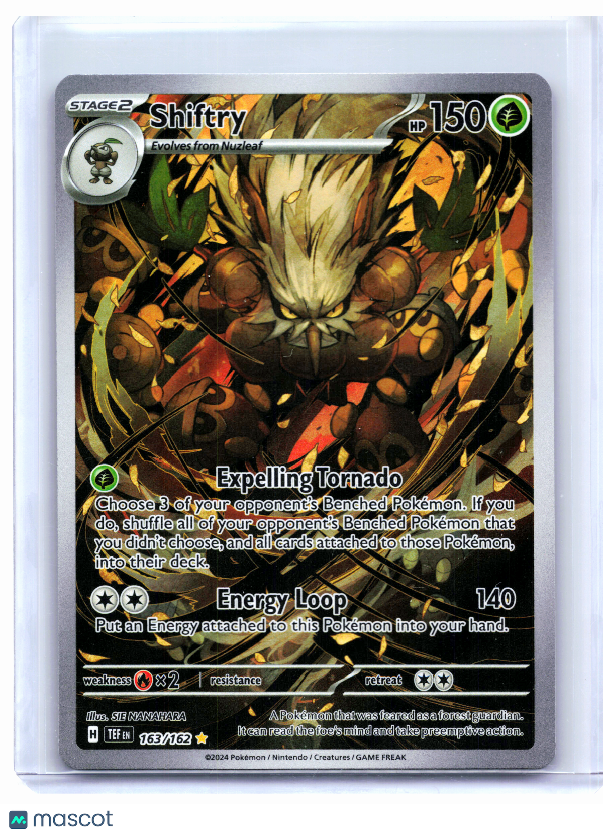 2024 Pokemon—Shiftry #163/162 Temporal Forces—Illustration Rare Holo [LP]