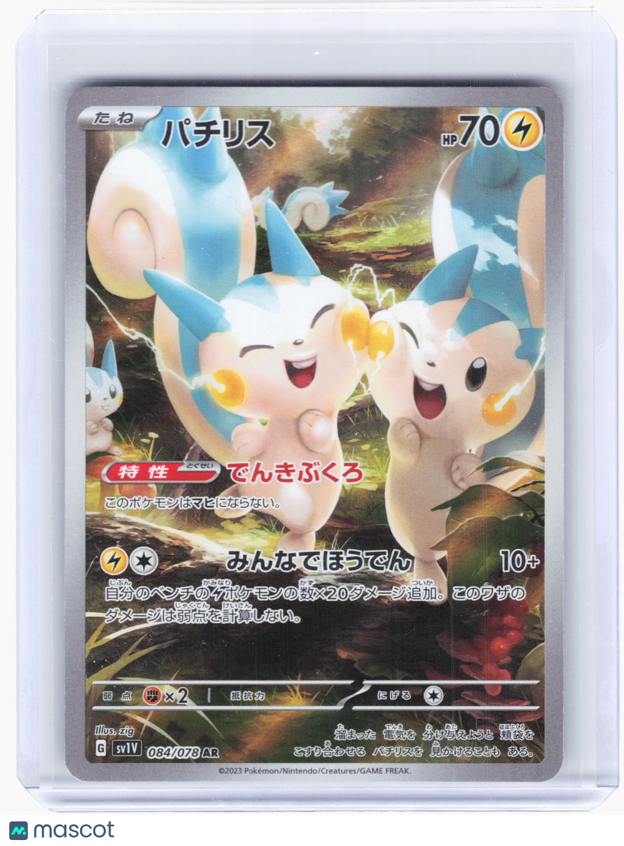 2023 Pokemon—Pachirisu #84 Violet ex—Art Rare Holo Japanese