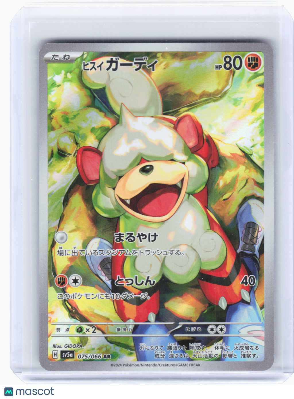 2024 Pokemon—Hisuian Growlithe #75 Crimson Haze—Art Rare Holo Japanese