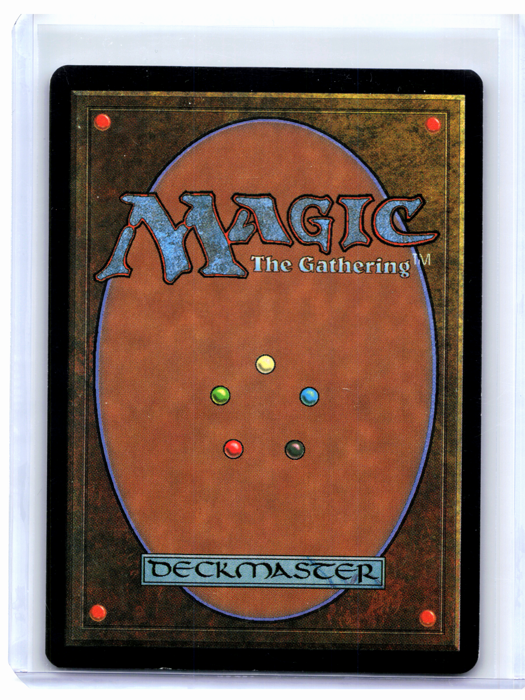 1999 Magic: TG—Hickory Woodlot #319 Mercadian Masques—Common Foil [MP]