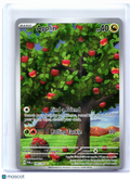 2024 Pokemon—Applin #185/167 Twilight Masquerade—Illustration Rare Holo