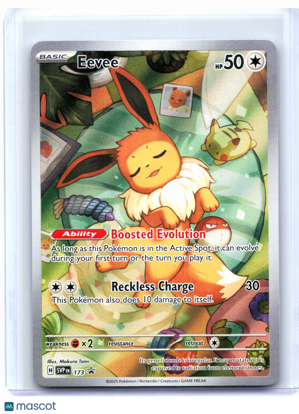 2025 Pokemon—Eevee #173 Scarlet & Violet Promo—Black Star Promo Holo