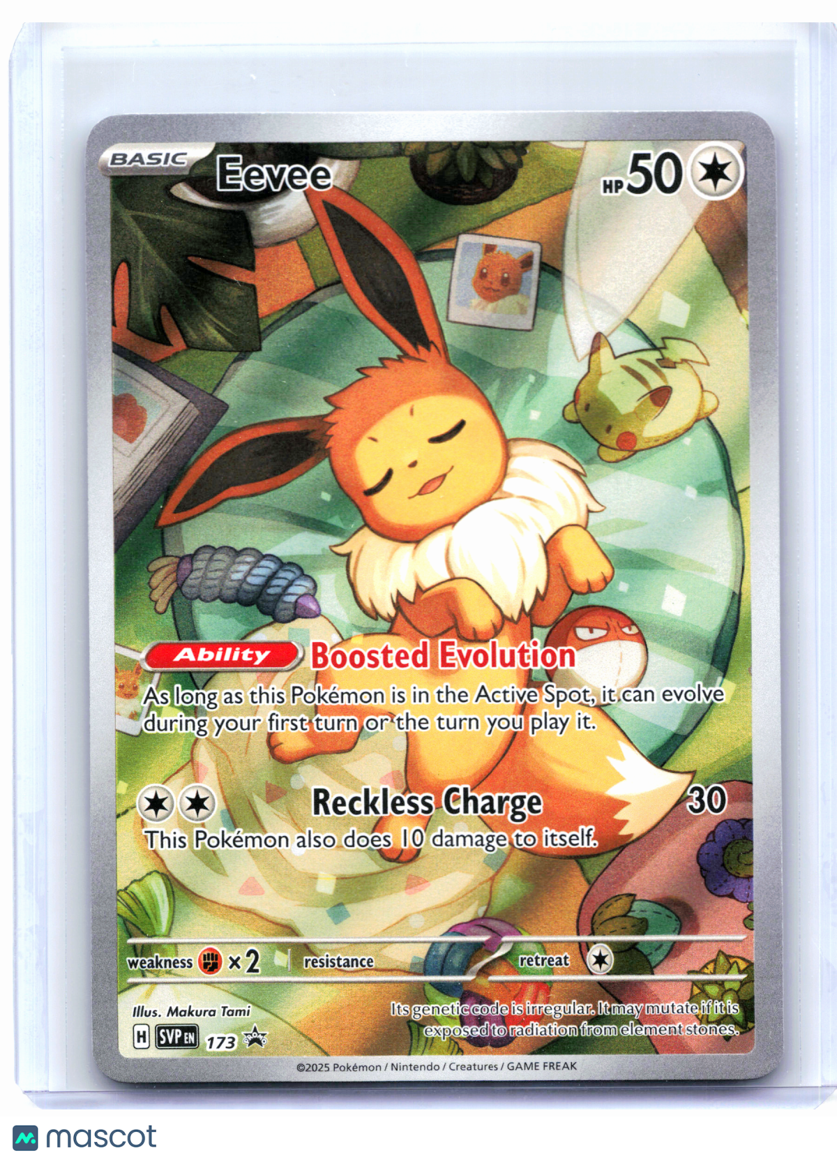 2025 Pokemon—Eevee #173 Scarlet & Violet Promo—Black Star Promo Holo
