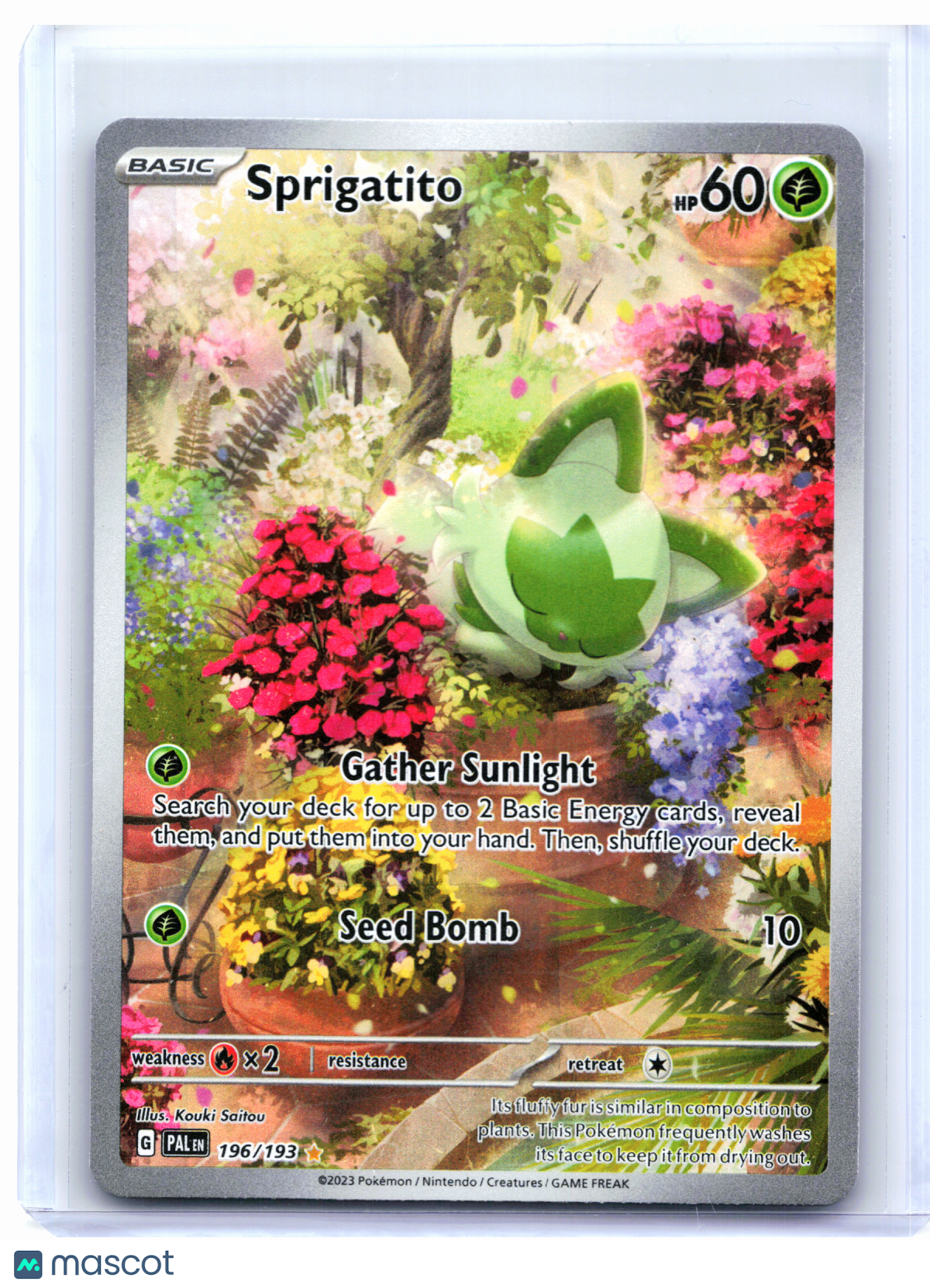 2023 Pokemon—Sprigatito #196/193 Paldea Evolved—Illustration Rare Holo [Damaged]
