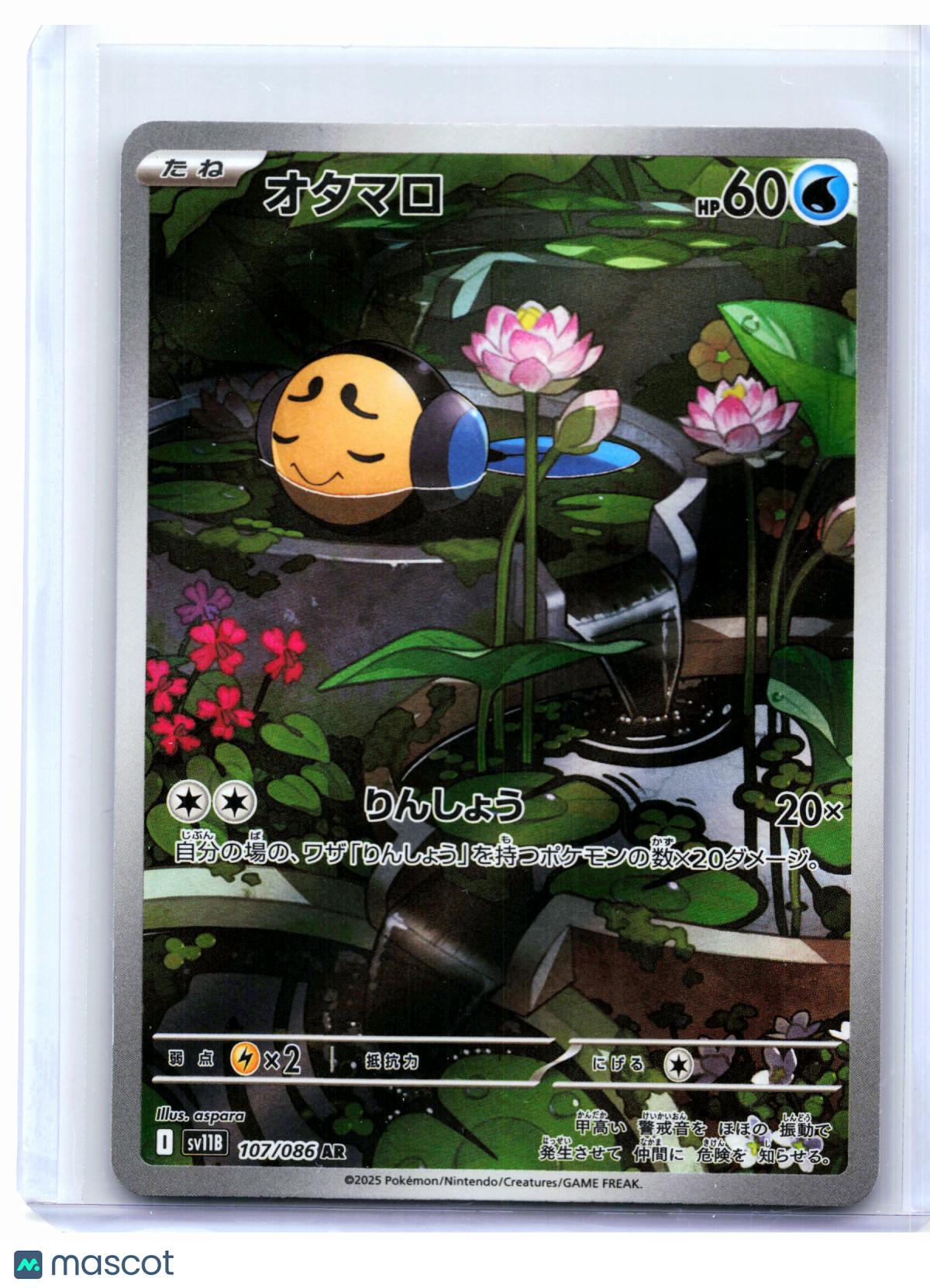 2025 Pokemon—Tympole #107/086 Black Bolt—Art Rare Holo Japanese
