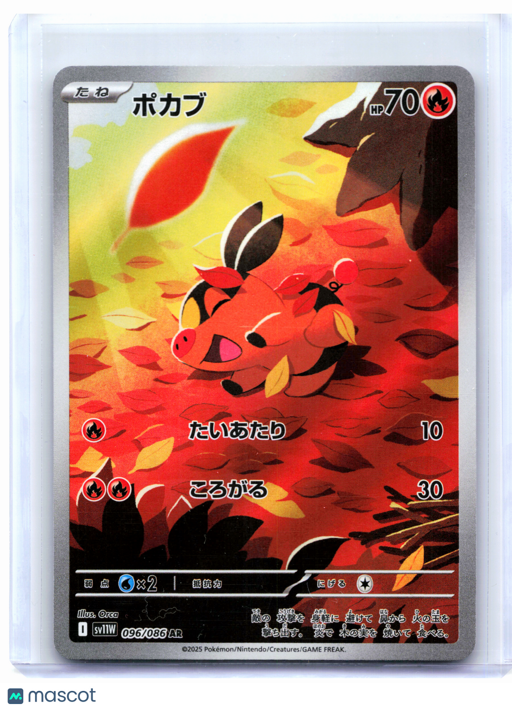 2025 Pokemon—Tepig #096/086 White Flare—Art Rare Holo Japanese