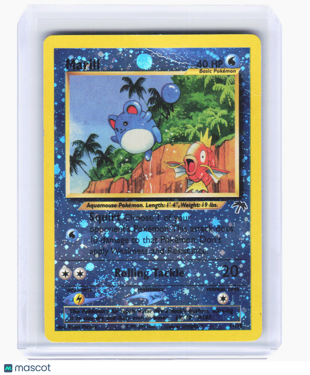 2001 Pokemon—Marill #11/18 Southern Islands—Promo Reverse Holo [Damaged]