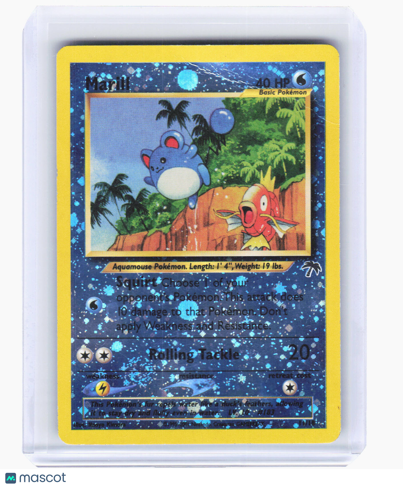 2001 Pokemon—Marill #11/18 Southern Islands—Promo Reverse Holo [Damaged]