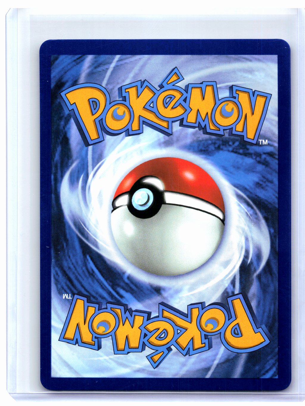 2025 Pokemon—Litleo #139/132 Mega Evolution Base Set—Illustration Rare Holo