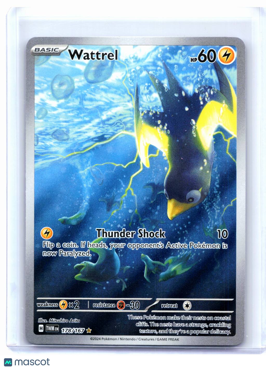 2024 Pokemon—Wattrel #178/167 Twilight Masquerade—Illustration Rare Holo