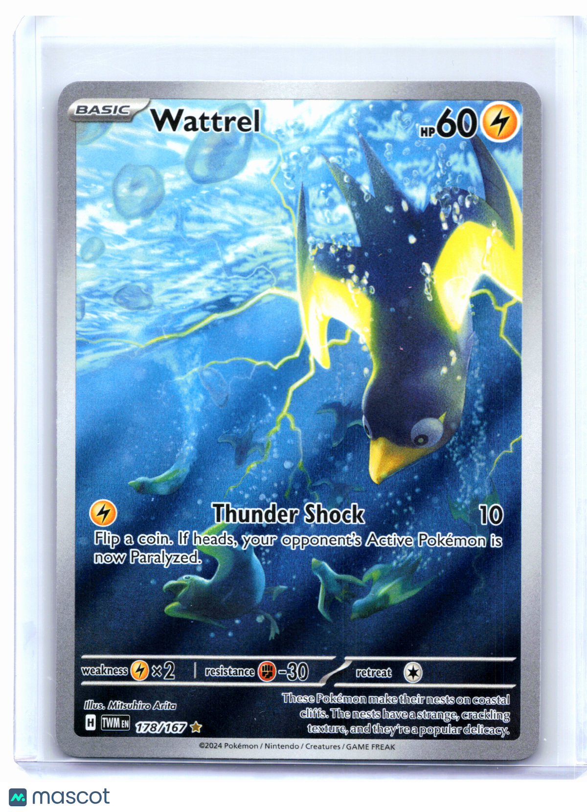 2024 Pokemon—Wattrel #178/167 Twilight Masquerade—Illustration Rare Holo