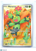 2025 Pokemon—Maractus #093/086 Black Bolt—Illustration Rare [Lightly Played]