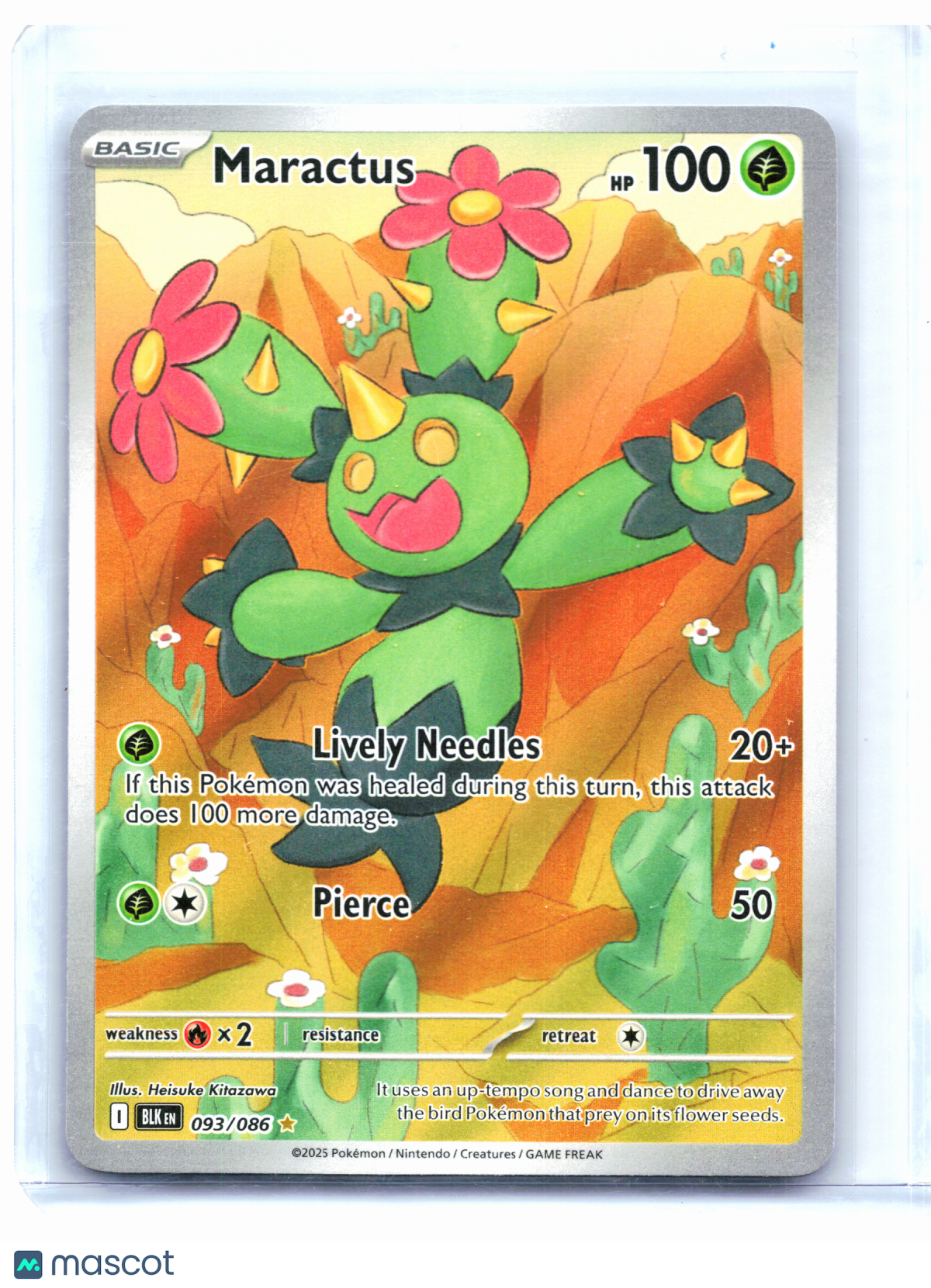 2025 Pokemon—Maractus #093/086 Black Bolt—Illustration Rare [Lightly Played]