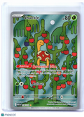 2025 Pokemon—Shuckle #136/132 Mega Evolution Base Set—Illustration Rare Holo