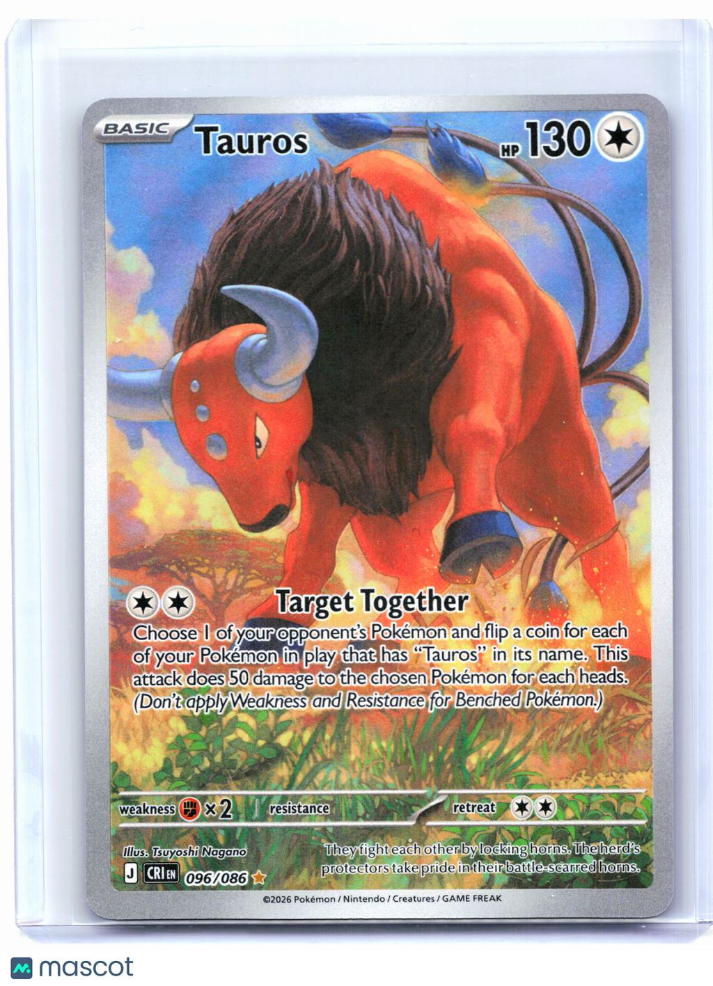 2026 Pokemon—Tauros #096/086 Chaos Rising—Illustration Rare Holo