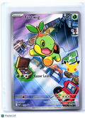 2026 Pokemon—Turtwig #040 Mega Evolution Promo—Black Star Promo Holo