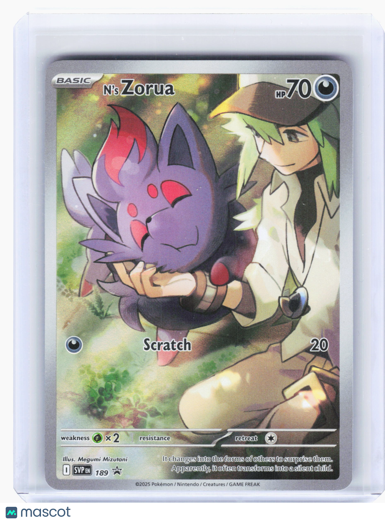2025 Pokemon—N's Zorua #189 Scarlet & Violet Promo Cards—Black Star Promo Holo