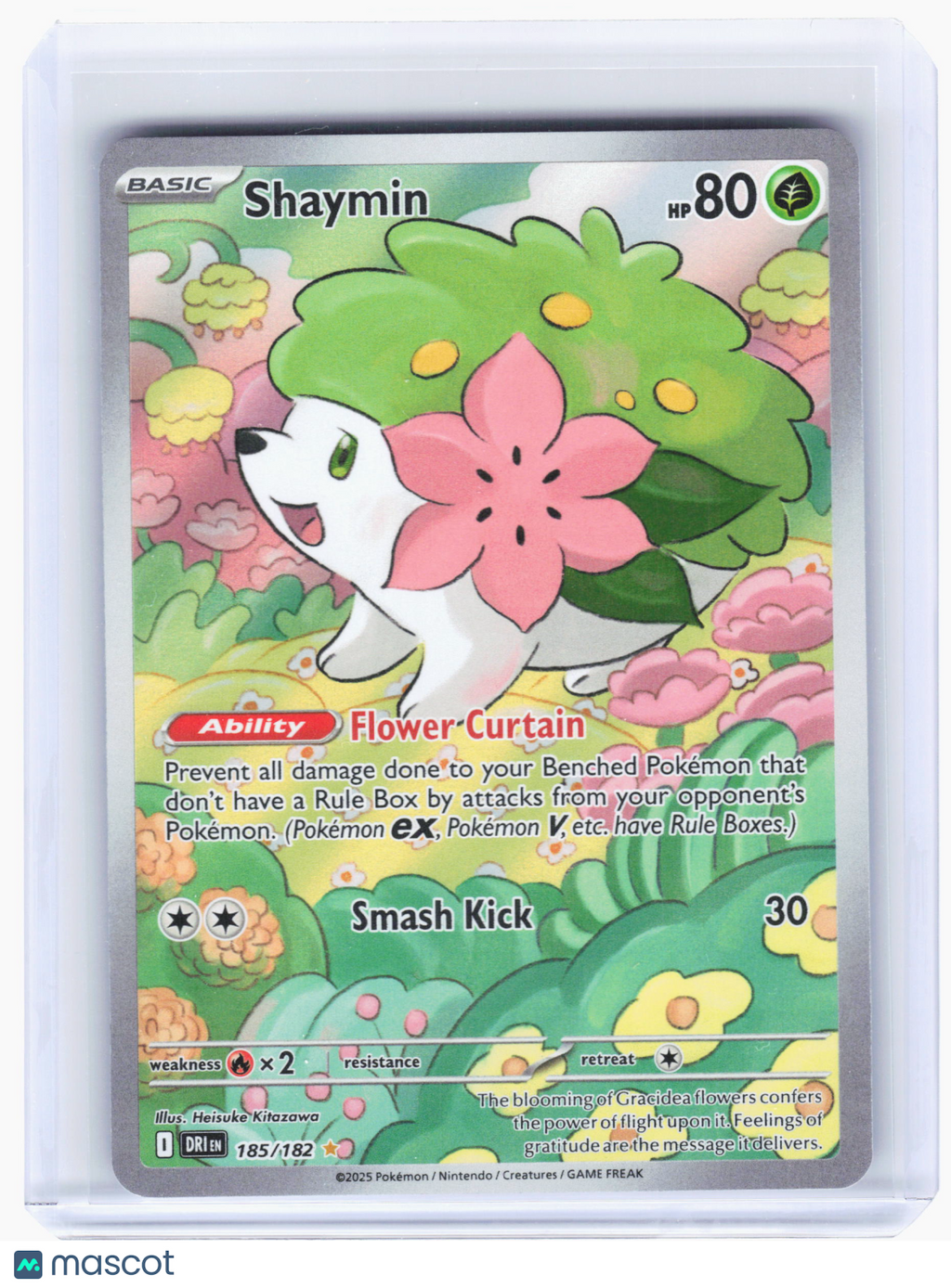 2025 Pokemon—Shaymin #185 Destined Rivals—Illustration Rare Holo
