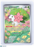 2025 Pokemon—Shaymin #185 Destined Rivals—Illustration Rare Holo