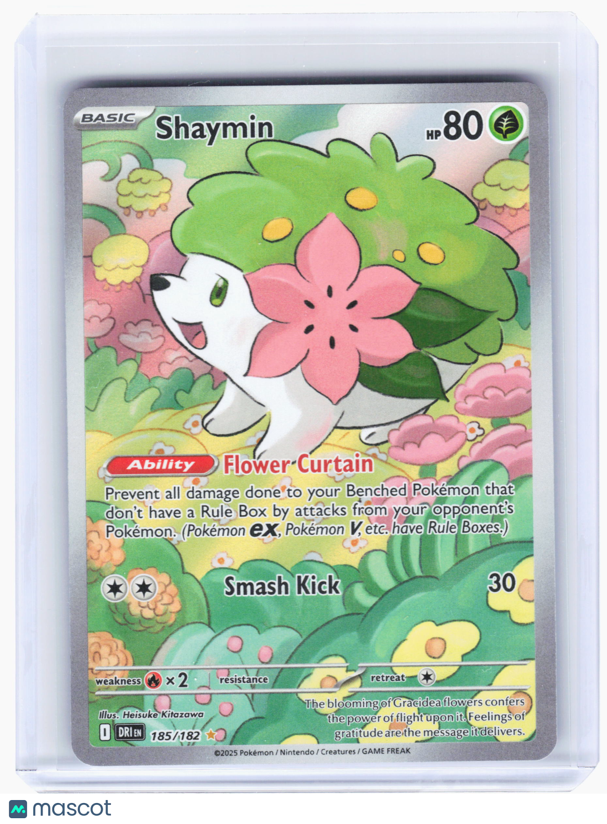 2025 Pokemon—Shaymin #185 Destined Rivals—Illustration Rare Holo