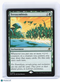 2025 Magic: The Gathering—Terrasymbiosis #210 Edge of Eternities—Rare Nonfoil