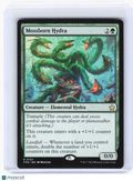 2024 Magic: The Gathering—Mossborn Hydra #107 Foundations—Rare Nonfoil