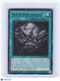 2025 YuGiOh—Black Rose Garden #DOOD-EN055 DOOD—Ultra Rare Nonfoil (1st ED)