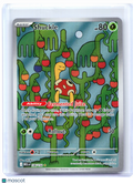 2025 Pokemon—Shuckle #136/132 Mega Evolution Base Set—Illustration Rare Holo