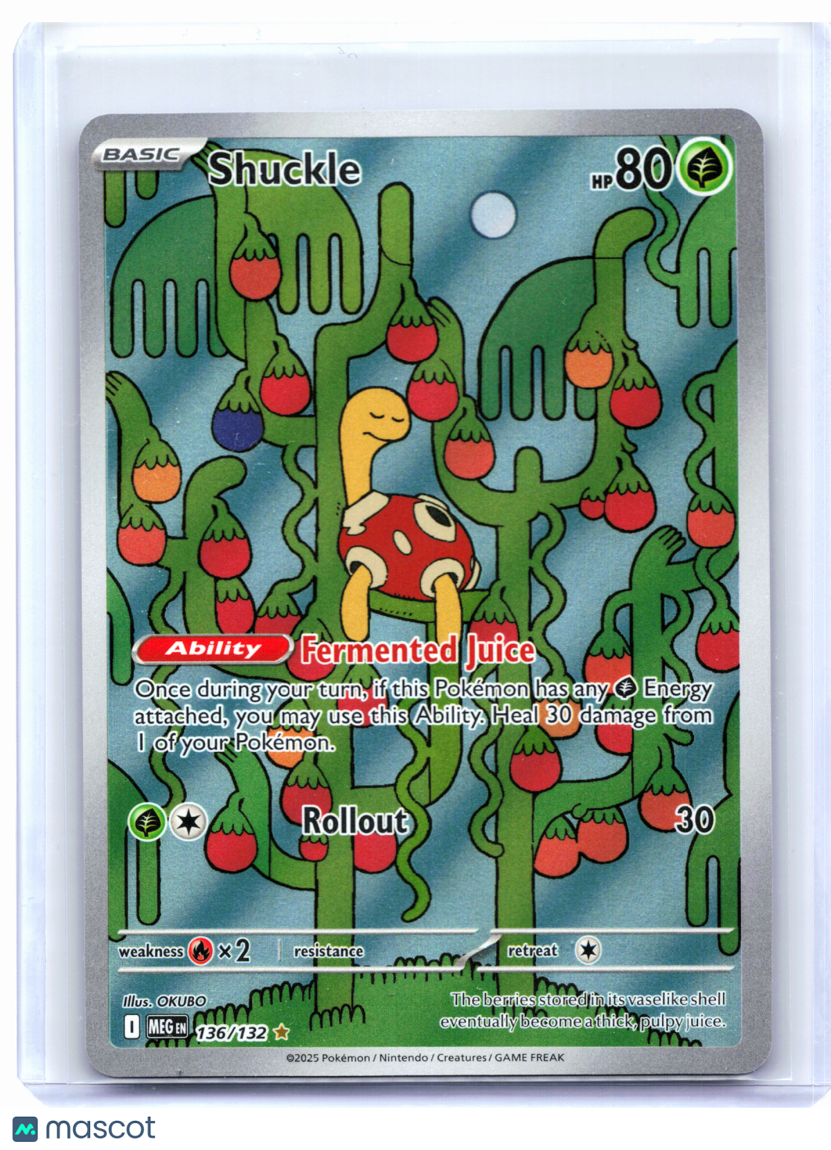 2025 Pokemon—Shuckle #136/132 Mega Evolution Base Set—Illustration Rare Holo