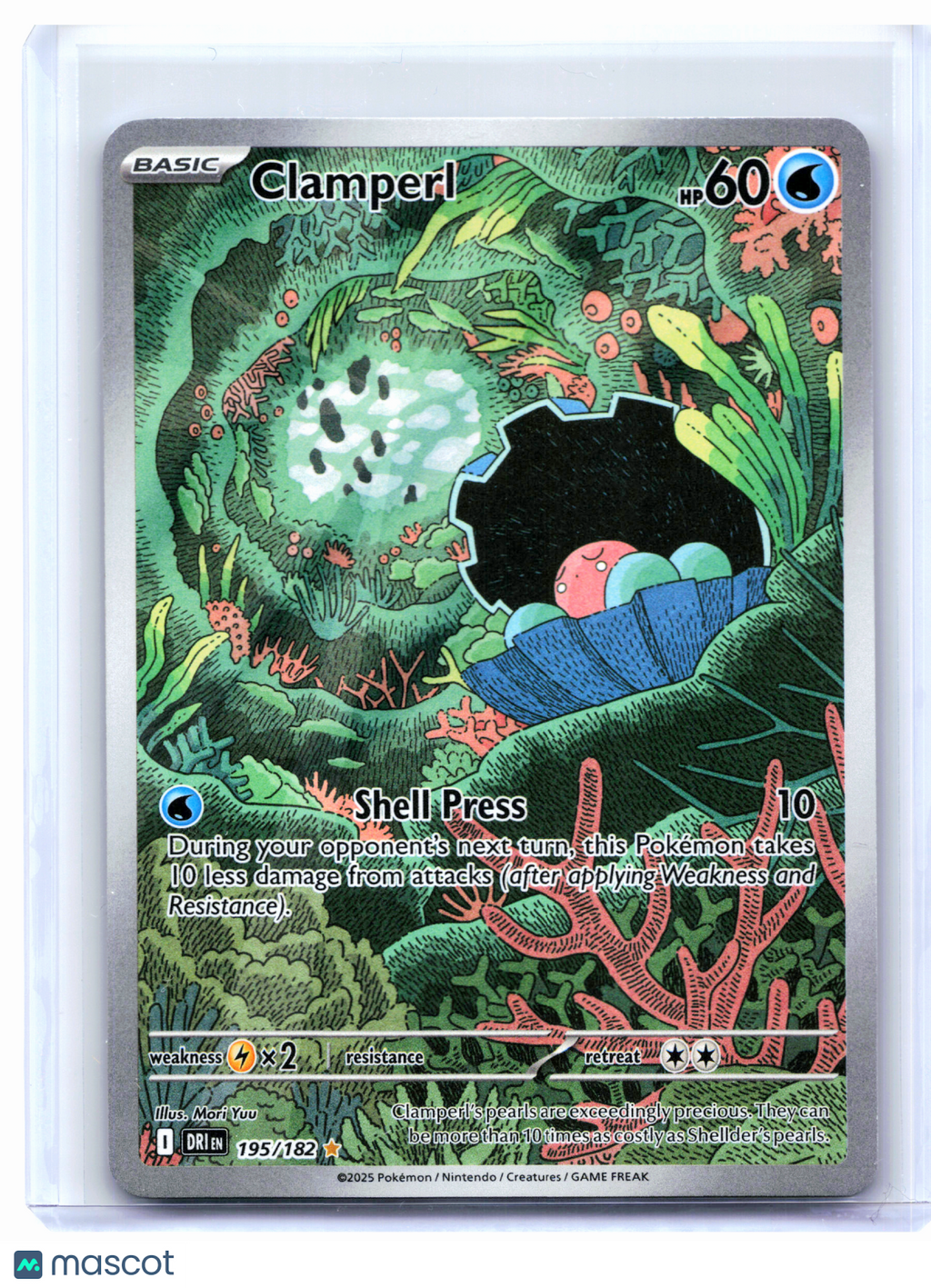 2025 Pokemon—Clamperl #195/182 Destined Rivals—Illustration Rare Holo [LP]