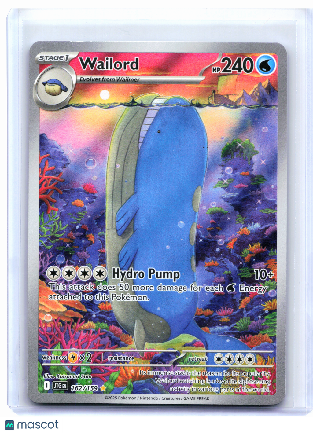 2025 Pokemon—Wailord #162/159 Journey Together—Illustration Rare Holo [LP]