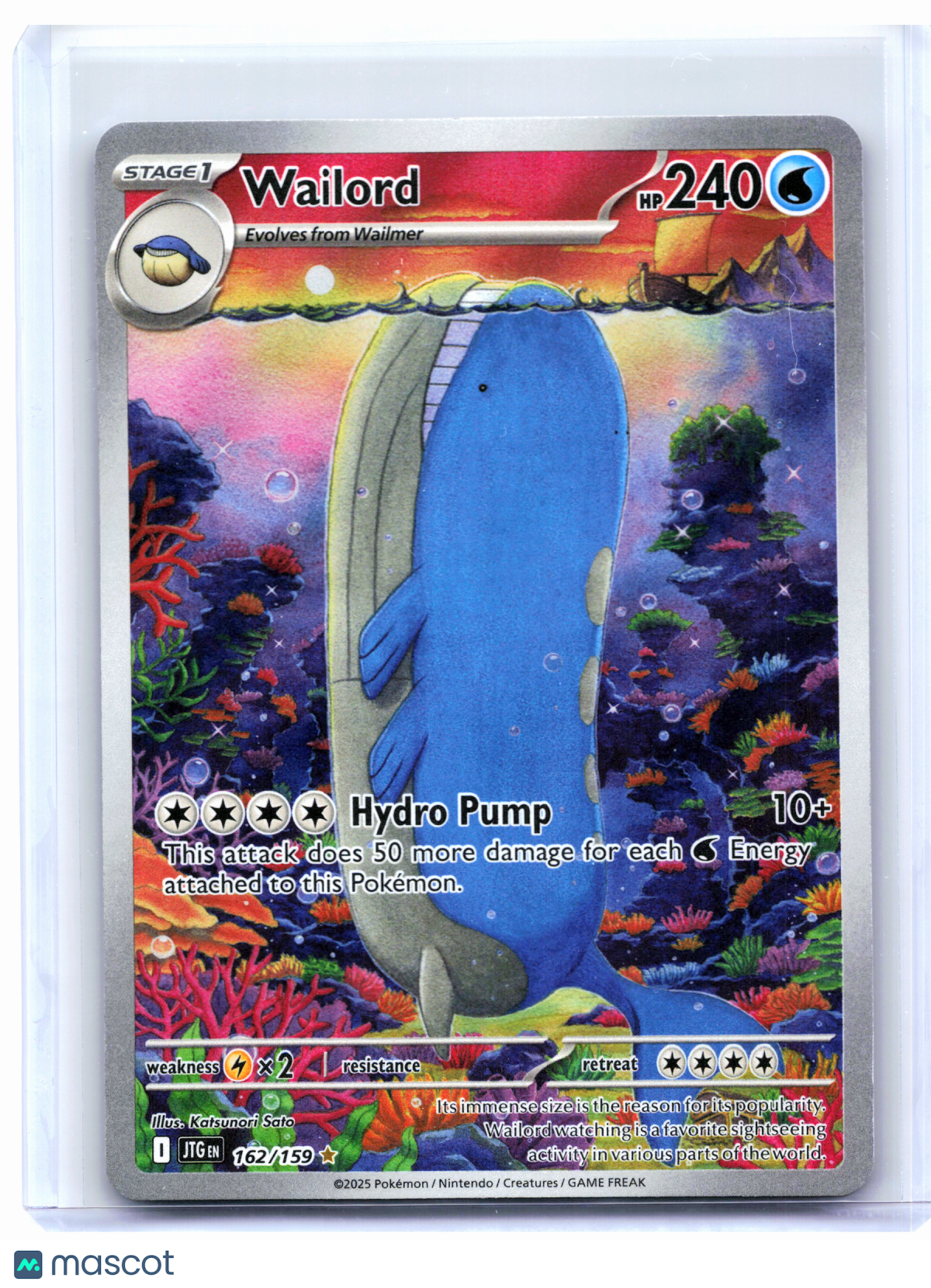 2025 Pokemon—Wailord #162/159 Journey Together—Illustration Rare Holo [LP]