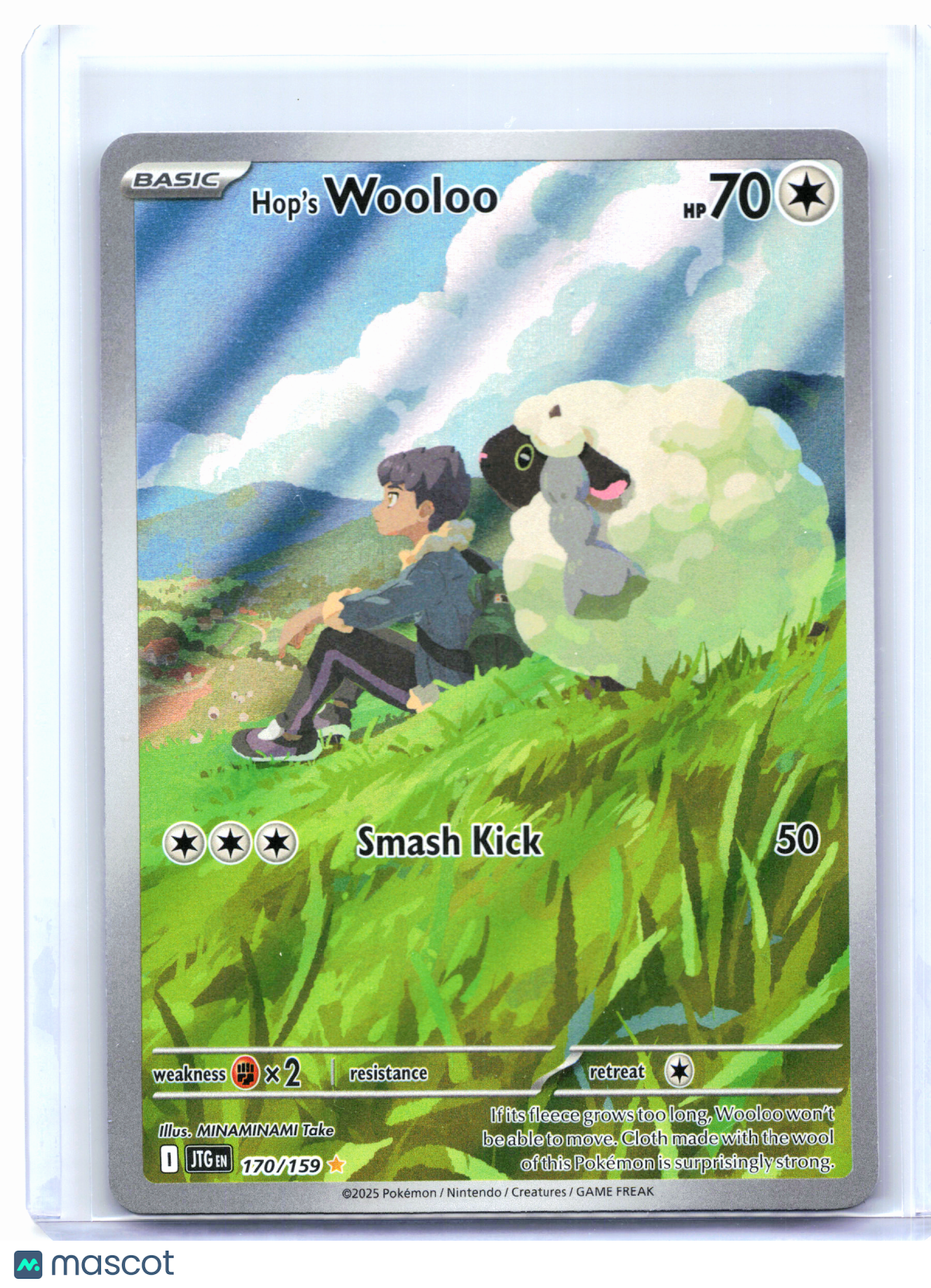 2025 Pokemon—Hop's Wooloo #170/159 Journey Together—Illustration Rare Holo
