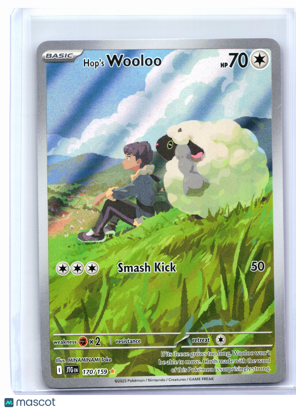 2025 Pokemon—Hop's Wooloo #170/159 Journey Together—Illustration Rare Holo