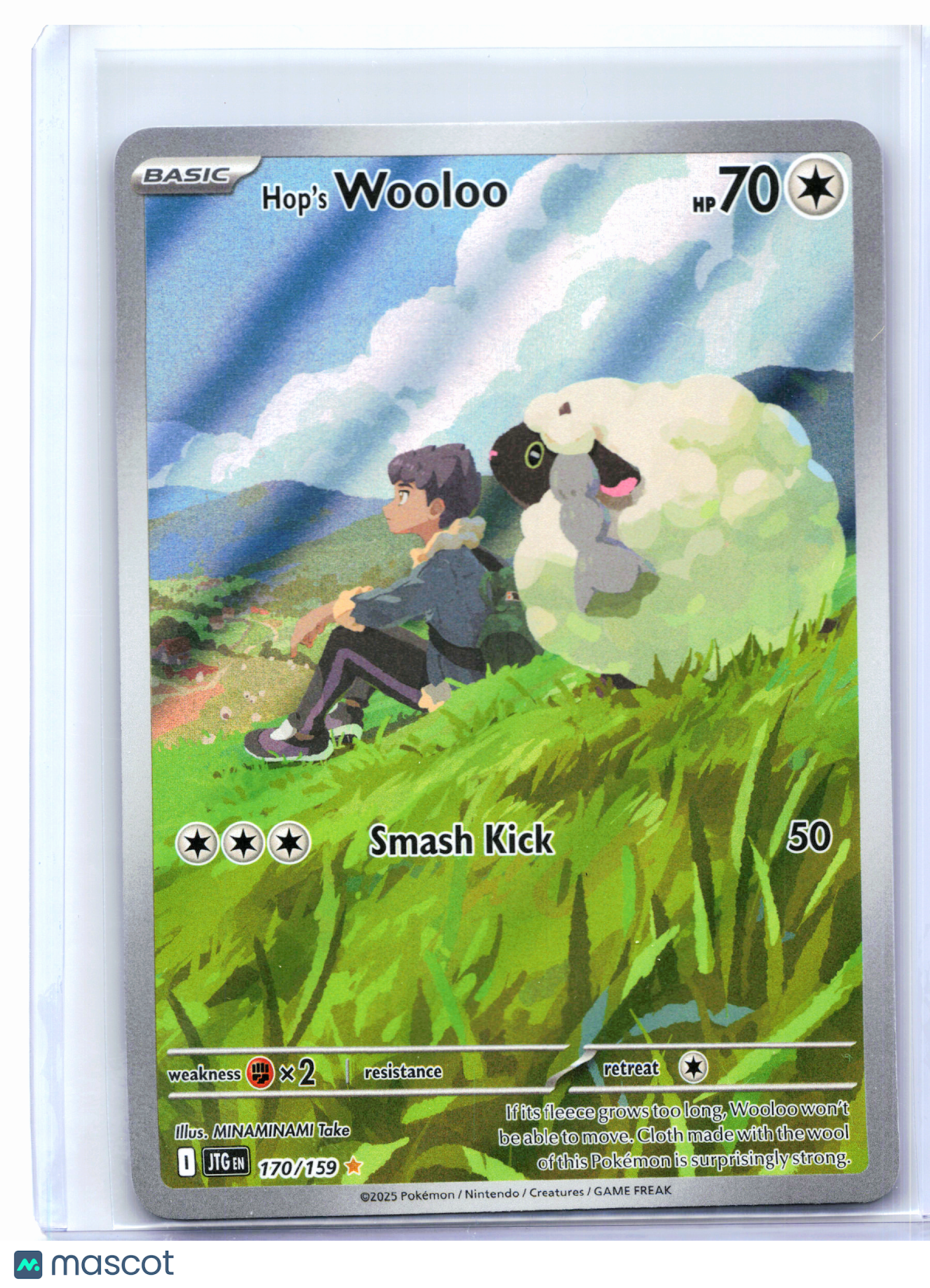 2025 Pokemon—Hop's Wooloo #170/159 Journey Together—Illustration Rare Holo