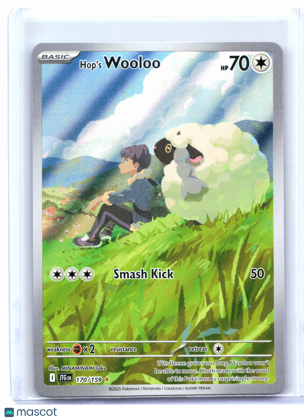2025 Pokemon—Hop's Wooloo #170/159 Journey Together—Illustration Rare Holo