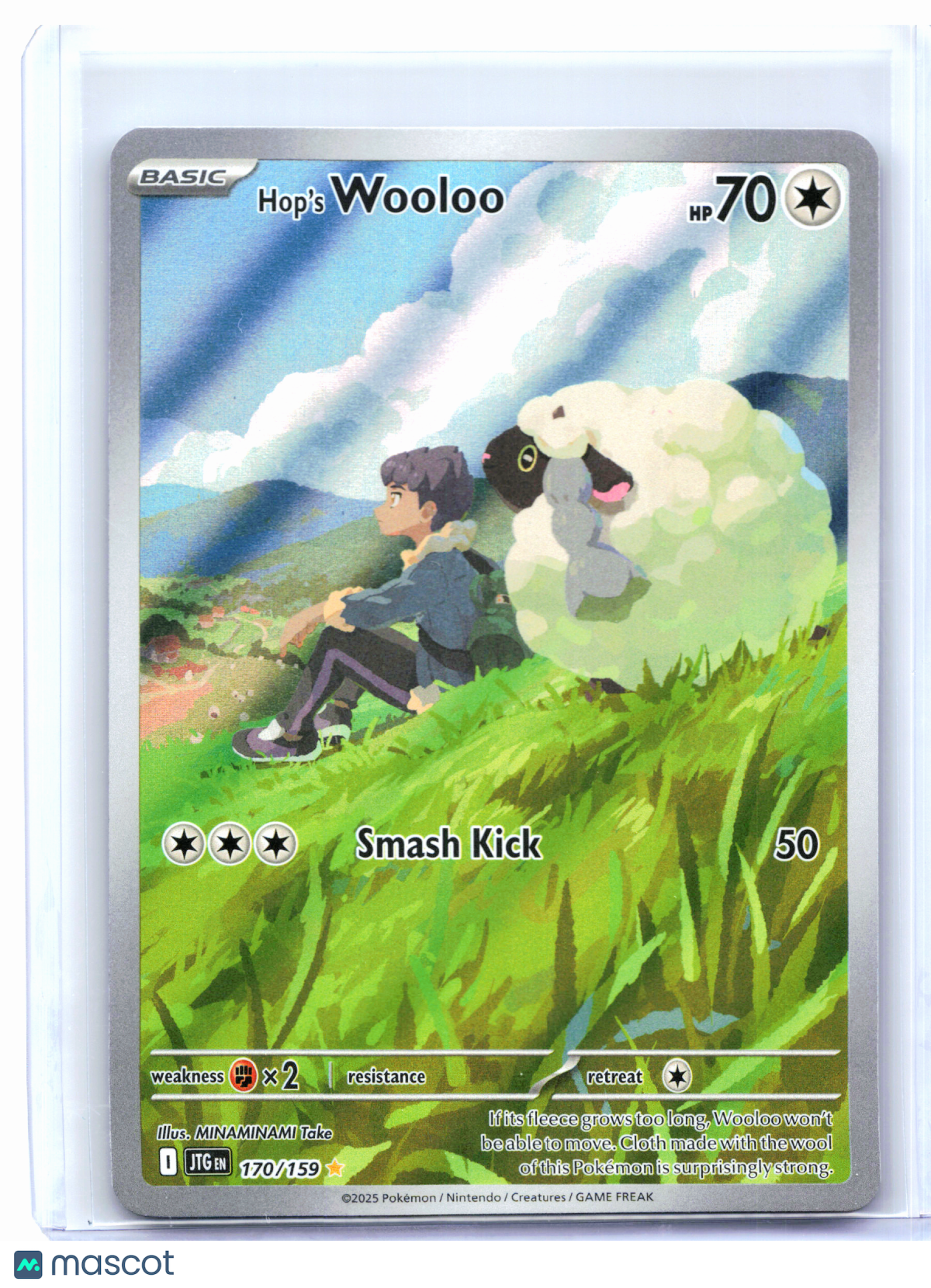 2025 Pokemon—Hop's Wooloo #170/159 Journey Together—Illustration Rare Holo