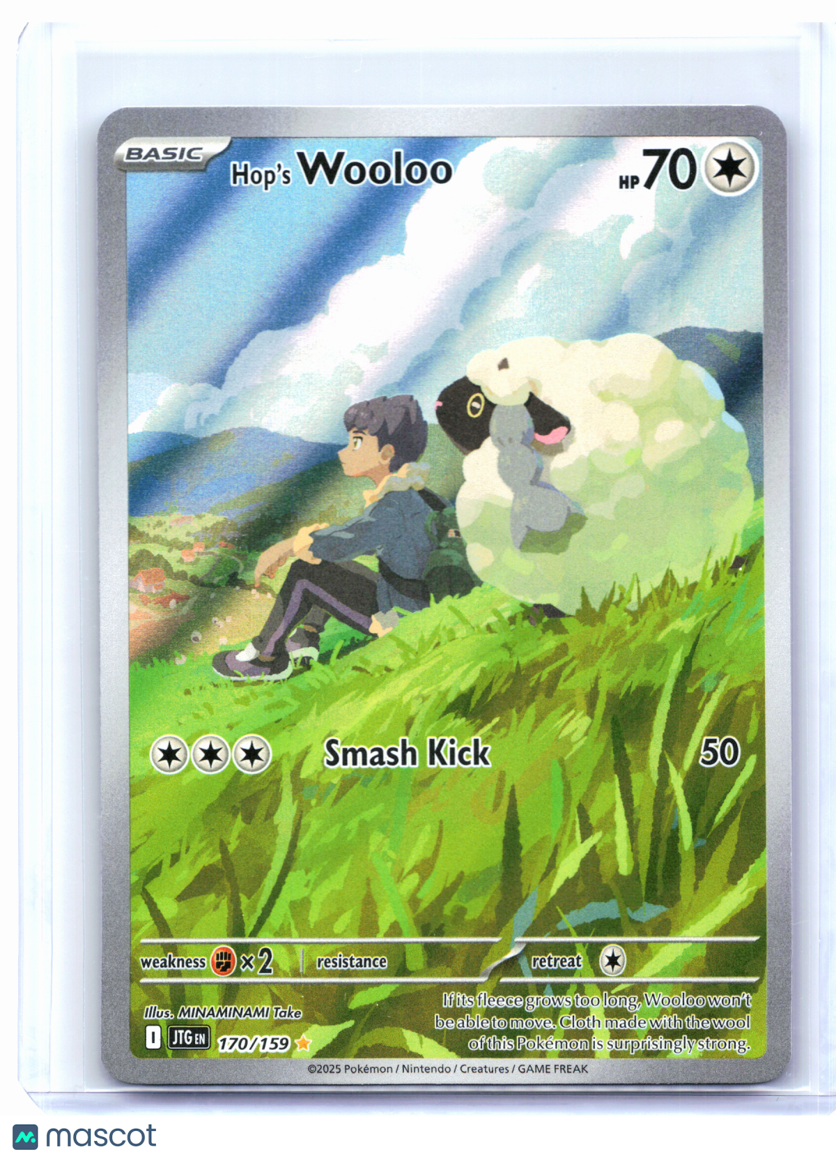 2025 Pokemon—Hop's Wooloo #170/159 Journey Together—Illustration Rare Holo