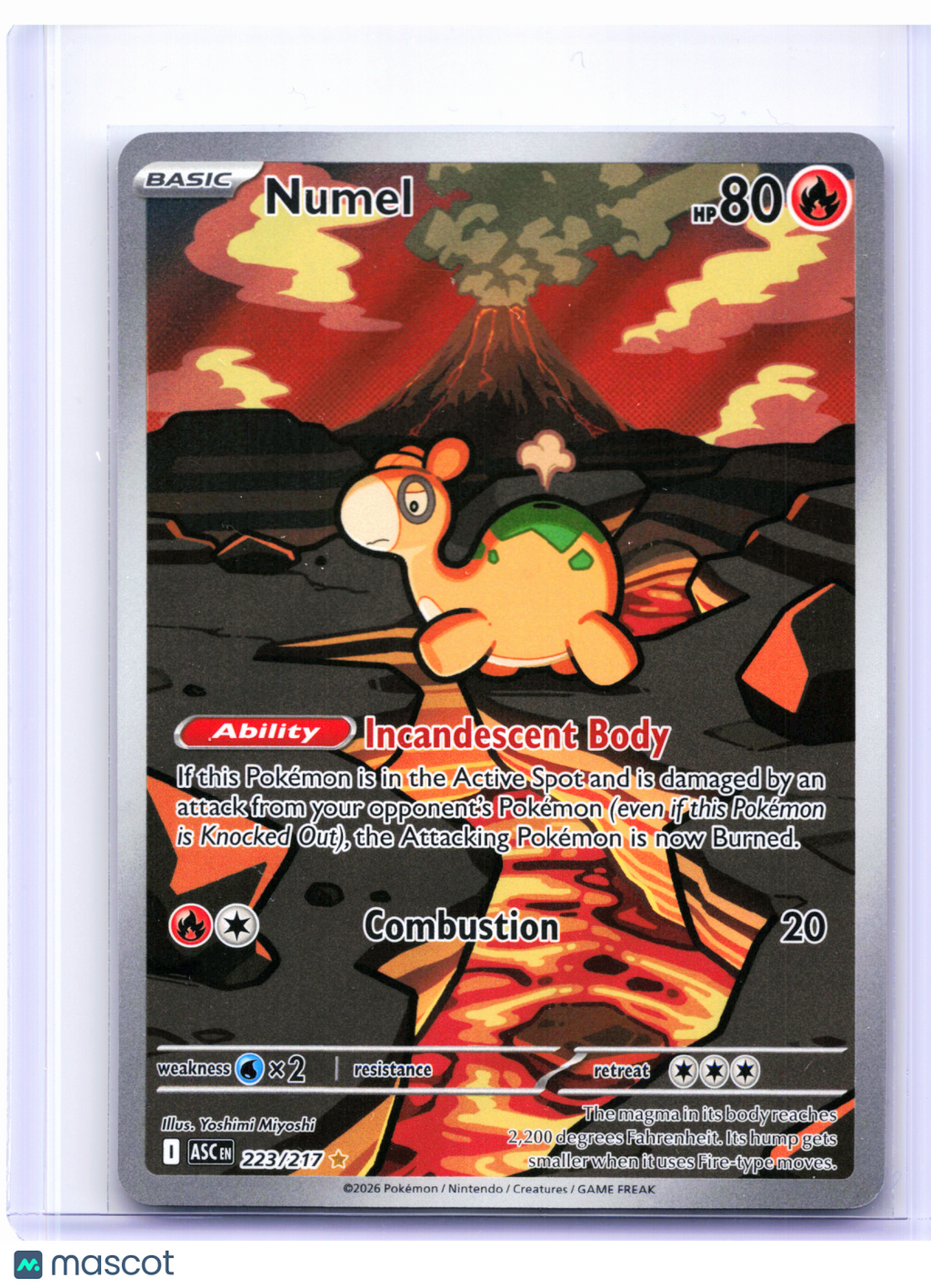 2026 Pokemon—Numel #223/217 Ascended Heroes—Illustration Rare Holo