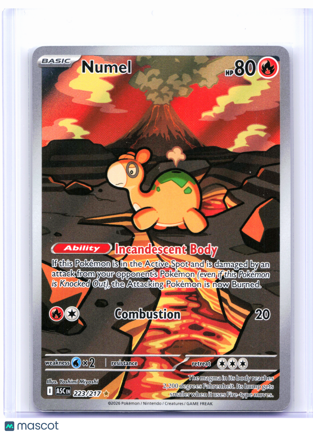 2026 Pokemon—Numel #223/217 Ascended Heroes—Illustration Rare Holo [LP]