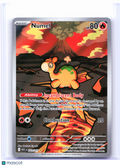 2026 Pokemon—Numel #223/217 Ascended Heroes—Illustration Rare Holo [LP]