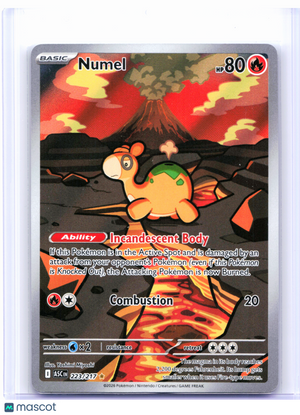 2026 Pokemon—Numel #223/217 Ascended Heroes—Illustration Rare Holo [LP]