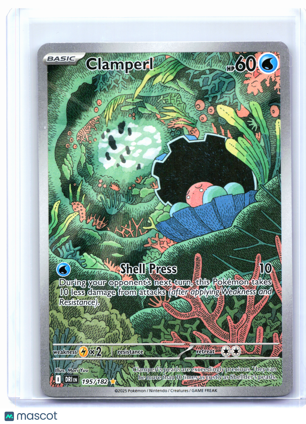2025 Pokemon—Clamperl #195/182 Destined Rivals—Illustration Rare Holo [LP]