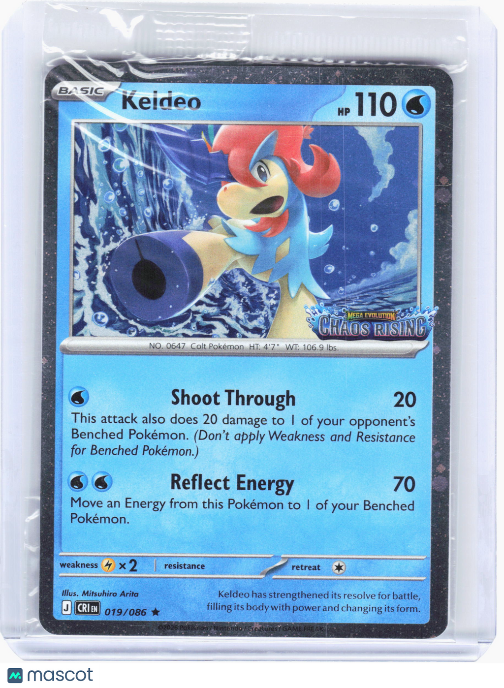 2026 Pokemon—Keldeo #19 Chaos Rising—Rare Holo (Pre-Release Stamp) (Sealed)