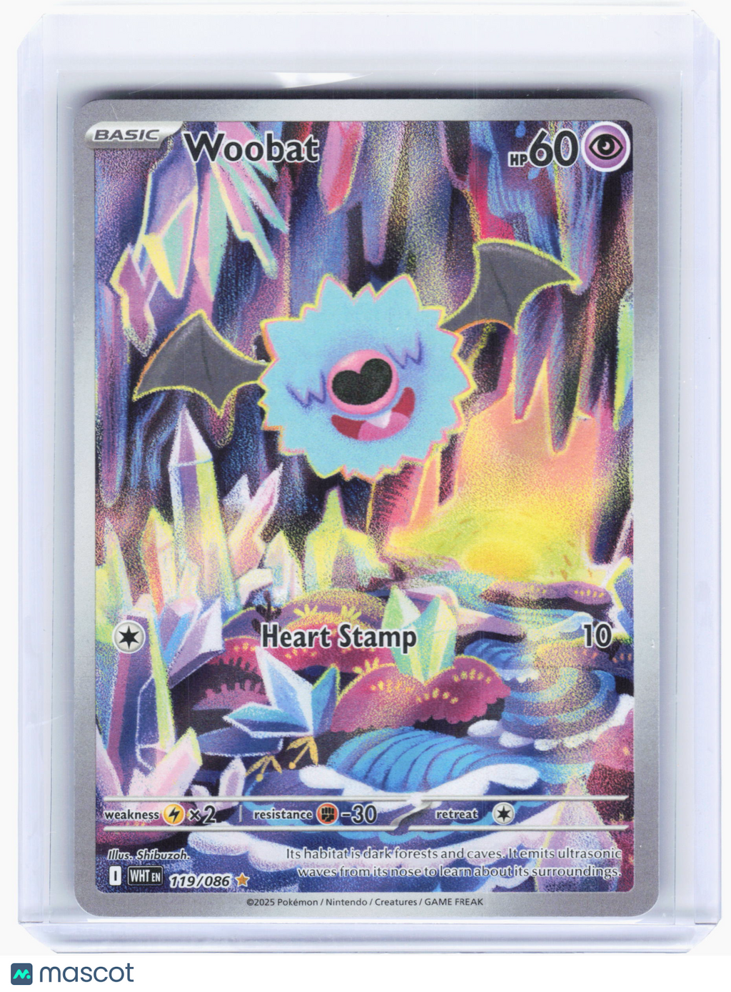 2025 Pokemon—Woobat #119 White Flare—Illustration Rare Holo