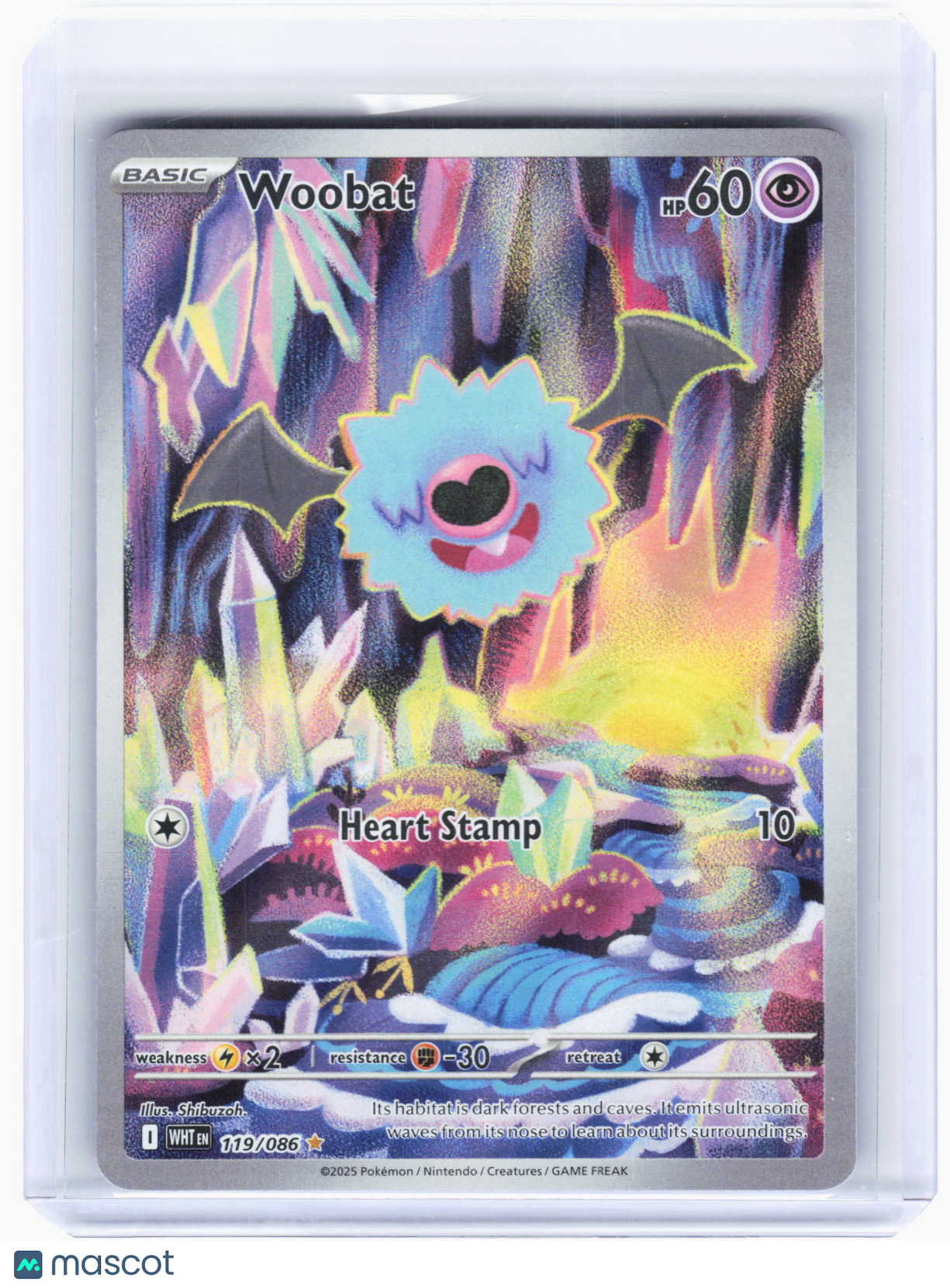 2025 Pokemon—Woobat #119 White Flare—Illustration Rare Holo