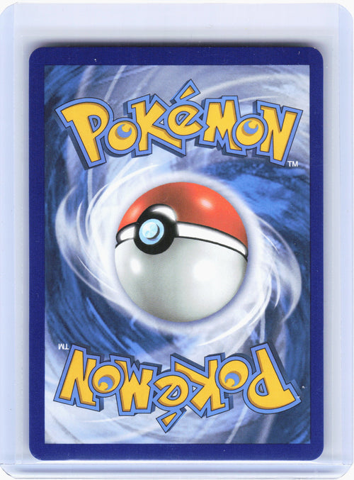 2017 Pokemon—Buzzwole GX #SM69 SM Promos—Black Star Promo Holo [Lightly Played]