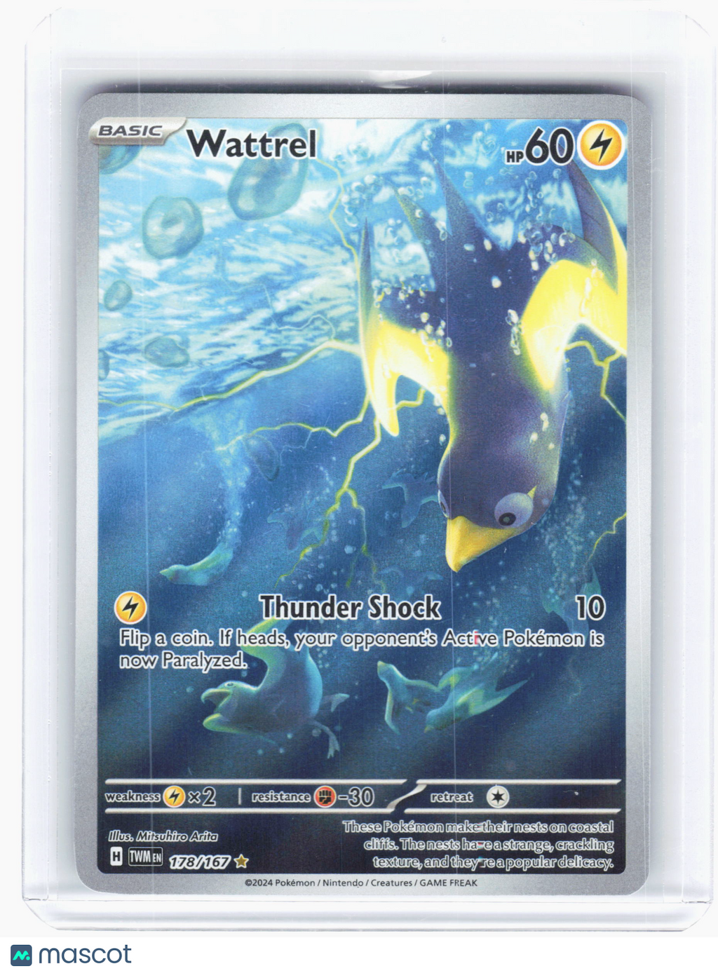 2024 Pokemon—Wattrel #178 Twilight Masquerade—Illustration Rare Holo