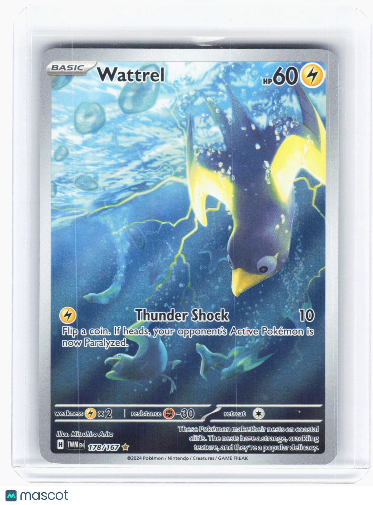 2024 Pokemon—Wattrel #178 Twilight Masquerade—Illustration Rare Holo